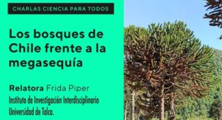 Charla del ciclo Ciencia para Todos: Los bosques de Chile frente a la megasequía